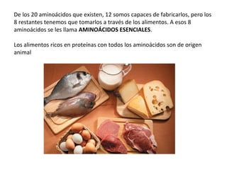 De los 20 aminoácidos que existen, 12 somos capaces de fabricarlos, pero los
8 restantes tenemos que tomarlos a través de los alimentos. A esos 8
aminoácidos se les llama AMINOÁCIDOS ESENCIALES.
Los alimentos ricos en proteínas con todos los aminoácidos son de origen
animal
 