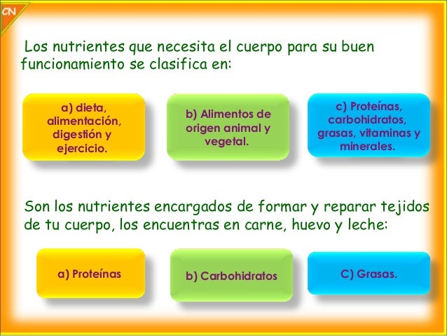 nutrientes en nuestro cuerpo