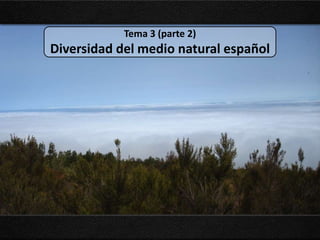 Tema 3 (parte 2)

Diversidad del medio natural español

 
