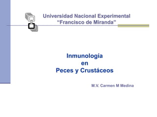 Universidad Nacional Experimental
“Francisco de Miranda”
Inmunología
en
Peces y Crustáceos
M.V. Carmen M Medina
 