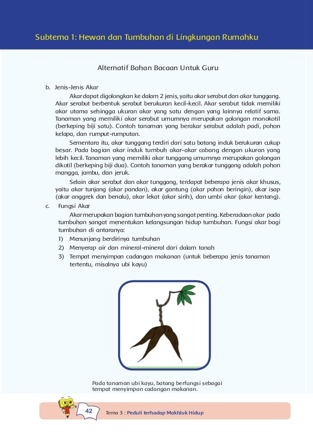 Contoh Deskripsi Spasial Tentang Lingkungan Rumahku