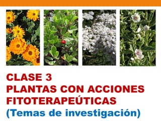 CLASE 3
PLANTAS CON ACCIONES
FITOTERAPEÚTICAS
(Temas de investigación)
 