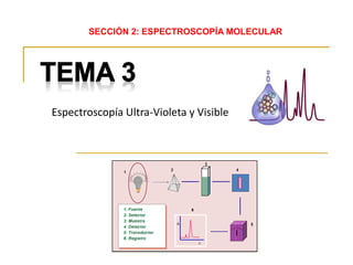 Espectroscopía Ultra-Violeta y Visible
SECCIÓN 2: ESPECTROSCOPÍA MOLECULAR
 