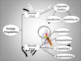 Peritaje
Psiquiátrico
Derecho
Civil
Derecho
Penal
Capacidad
Jurídica
Inhabilitación
Imputabilidad
Inimputabilidad
Culpabilidad
Interdicción
Responsabilidad
 