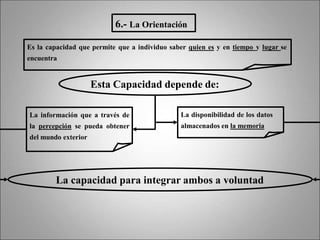 Esta Capacidad depende de:
Es la capacidad que permite que a individuo saber quien es y en tiempo y lugar se
encuentra
6.- La Orientación
La información que a través de
la percepción se pueda obtener
del mundo exterior
La disponibilidad de los datos
almacenados en la memoria
La capacidad para integrar ambos a voluntad
 