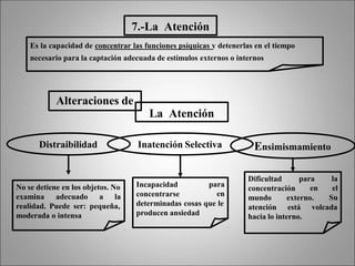 Ensimismamiento
7.-La Atención
Es la capacidad de concentrar las funciones psíquicas y detenerlas en el tiempo
necesario para la captación adecuada de estímulos externos o internos
Alteraciones de
La Atención
Distraibilidad Inatención Selectiva
No se detiene en los objetos. No
examina adecuado a la
realidad. Puede ser: pequeña,
moderada o intensa
Incapacidad
concentrarse
para
en
determinadas cosas que le
producen ansiedad
Dificultad
concentración
externo.
para la
en el
Su
mundo
atención está volcada
hacia lo interno.
 