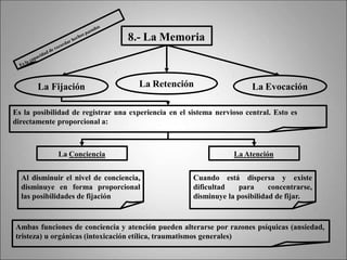 8.- La Memoria
La Retención
La Fijación La Evocación
Es la posibilidad de registrar una experiencia en el sistema nervioso central. Esto es
directamente proporcional a:
La Conciencia La Atención
Al disminuir el nivel de conciencia,
disminuye en forma proporcional
las posibilidades de fijación
Cuando está dispersa y existe
dificultad para concentrarse,
disminuye la posibilidad de fijar.
Ambas funciones de conciencia y atención pueden alterarse por razones psíquicas (ansiedad,
tristeza) u orgánicas (intoxicación etílica, traumatismos generales)
 