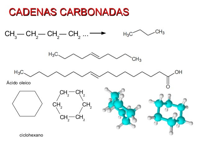 cadenas carbonadas qu 237 mica del carbono pol 237 meros y macromol 233 culas cadenas carbonadas qu 237 mica del carbono pol 237 meros y macromol 233 culas