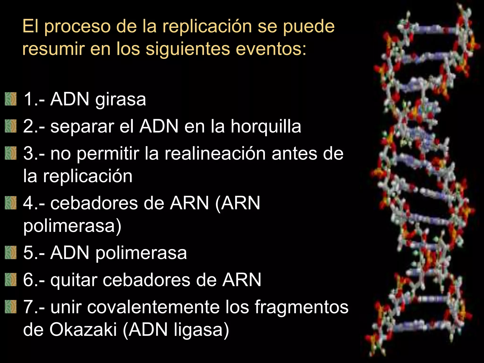 Tema 3 Replicación del ADN | PPT