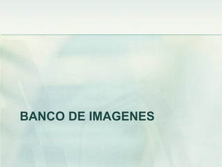 BANCO DE IMAGENES
 