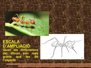ESCALA
D’AMPLIACIÓ:
Quan les dimensions
del dibuix són més
grans que les de
l’objecte
 