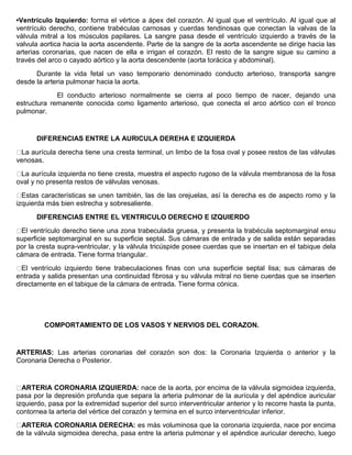 •Ventrículo Izquierdo: forma el vértice a ápex del corazón. Al igual que el ventrículo. Al igual que al 
ventrículo derecho, contiene trabéculas carnosas y cuerdas tendinosas que conectan la valvas de la 
válvula mitral a los músculos papilares. La sangre pasa desde el ventrículo izquierdo a través de la 
valvula aortica hacia la aorta ascendente. Parte de la sangre de la aorta ascendente se dirige hacia las 
arterias coronarias, que nacen de ella e irrigan el corazón. El resto de la sangre sigue su camino a 
través del arco o cayado aórtico y la aorta descendente (aorta torácica y abdominal). 
Durante la vida fetal un vaso temporario denominado conducto arterioso, transporta sangre 
desde la arteria pulmonar hacia la aorta. 
El conducto arterioso normalmente se cierra al poco tiempo de nacer, dejando una 
estructura remanente conocida como ligamento arterioso, que conecta el arco aórtico con el tronco 
pulmonar. 
DIFERENCIAS ENTRE LA AURICULA DEREHA E IZQUIERDA 
La aurícula derecha tiene una cresta terminal, un limbo de la fosa oval y posee restos de las válvulas 
venosas. 
La aurícula izquierda no tiene cresta, muestra el aspecto rugoso de la válvula membranosa de la fosa 
oval y no presenta restos de válvulas venosas. 
Estas características se unen también, las de las orejuelas, así la derecha es de aspecto romo y la 
izquierda más bien estrecha y sobresaliente. 
DIFERENCIAS ENTRE EL VENTRICULO DERECHO E IZQUIERDO 
El ventrículo derecho tiene una zona trabeculada gruesa, y presenta la trabécula septomarginal ensu 
superficie septomarginal en su superficie septal. Sus cámaras de entrada y de salida están separadas 
por la cresta supra-ventricular, y la válvula tricúspide posee cuerdas que se insertan en el tabique dela 
cámara de entrada. Tiene forma triangular. 
El ventrículo izquierdo tiene trabeculaciones finas con una superficie septal lisa; sus cámaras de 
entrada y salida presentan una continuidad fibrosa y su válvula mitral no tiene cuerdas que se inserten 
directamente en el tabique de la cámara de entrada. Tiene forma cónica. 
COMPORTAMIENTO DE LOS VASOS Y NERVIOS DEL CORAZON. 
ARTERIAS: Las arterias coronarias del corazón son dos: la Coronaria Izquierda o anterior y la 
Coronaria Derecha o Posterior. 
ARTERIA CORONARIA IZQUIERDA: nace de la aorta, por encima de la válvula sigmoidea izquierda, 
pasa por la depresión profunda que separa la arteria pulmonar de la aurícula y del apéndice auricular 
izquierdo, pasa por la extremidad superior del surco interventricular anterior y lo recorre hasta la punta, 
contornea la arteria del vértice del corazón y termina en el surco interventricular inferior. 
ARTERIA CORONARIA DERECHA: es más voluminosa que la coronaria izquierda, nace por encima 
de la válvula sigmoidea derecha, pasa entre la arteria pulmonar y el apéndice auricular derecho, luego 
 
