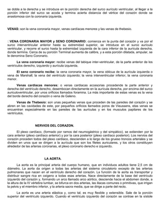 se dobla a la derecha y se introduce en la porción derecha del surco aurículo ventricular, al llegar a la 
porción inferior del surco se acoda y termina acierta distancia del vértice del corazón donde se 
anastomosa con la coronaria izquierda. 
VENAS: son la vena coronaria mayor, venas cardíacas menores y las venas de thebesio. 
VENA CORONARIA MAYOR y SENO CORONARIO: comienza en la punta del corazón y va por el 
surco interventricular anterior hasta su extremidad superior, se introduce en el surco aurículo 
ventricular, y recorre el surco hasta la extremidad izquierda de la cara inferior de la aurícula derecha, 
donde termina. Cerca de su porción Terminal aumenta de calibre, y a esta porción dilatada, ampular, se 
le denomina Seno Coronario. 
La vena coronaria mayor: recibe venas del tabique inter-ventricular, de la parte anterior de los 
ventrículos derecho, izquierdo y aurícula izquierda. 
El seno coronario recibe: la vena coronaria mayor, la vena oblicua de la aurícula izquierda o 
vena de Marshall; la vena del ventrículo izquierdo; la vena interventricular inferior, la vena coronaria 
menor. 
Venas cardiacas menores: o venas cardiacas accesorias procedende la parte anterior y 
derecha del ventrículo derecho, desembocan directamente en la aurícula derecha, por encima del surco 
auriculoventricular, por unos orificios llamados foramina. La más importante de estas venas es la vena 
del borde derecho del corazón o vena de Galeno. 
Venas de Thebesio: son unas pequeñas venas que proceden de las paredes del corazón y se 
abren en las cavidades de este, por pequeños orificios llamados poros de Vieussens, etas venas se 
encuentran especialmente en las paredes de las aurículas y en los musculos papilares de los 
ventrículos. 
NERVIOS DEL CORAZON. 
El plexo cardíaco, (formado por ramos del neumogástrico y del simpático), se extienden por la 
cara anterior (plexo cardíaco anterior) y por la cara posterior (plexo cardíaco posterior). Los nervios del 
corazón proceden todos del plexo cardiaco, descienden a lo largo de los grueso troncos arteriales y se 
dividen en unos que se dirigen a la aurícula que son los filetes auriculares, y los otros constituyen 
alrededor de las arterias coronarias, el plexo coronario derecho e izquierdo. 
LA AORTA. 
La aorta es la principal arteria del cuerpo humano, que en individuos adultos tiene 2,5 cm de 
diámetro. La aorta da origen a todas las arterias del sistema circulatorio excepto de las arterias 
pulmonares que nacen en el ventrículo derecho del corazón. La función de la aorta es transportar y 
distribuir sangre rica en oxigeno a todas esas arterias. Nace directamente de la base del ventrículo 
izquierdo del corazón y, formando un arco llamado arco aórtico, desciende hacia el abdomen donde, a 
la altura de la IV vértebra lumbar, se bifurca en dos arterias, las iliacas comunes o primitivas, que irrigan 
la pelvis y el miembro inferior, y la arteria sacra media, que se dirige a parte del recto. 
La aorta es una arteria elástica y, como tal, es muy flexible y extensible. Sale de la porción 
superior del ventrículo izquierdo. Cuando el ventrículo izquierdo del corazón se contrae en la sístole 
 