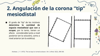 Tema Ridge 6 llaves de la oclusionnormal de Andrews, análisis de Wits y análisis ...
