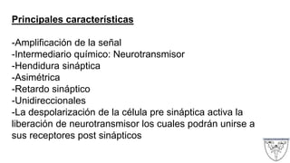 Principales características
-Amplificación de la señal
-Intermediario químico: Neurotransmisor
-Hendidura sináptica
-Asimétrica
-Retardo sináptico
-Unidireccionales
-La despolarización de la célula pre sináptica activa la
liberación de neurotransmisor los cuales podrán unirse a
sus receptores post sinápticos
 