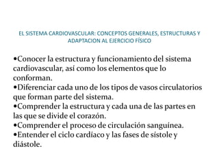 EL SISTEMA CARDIOVASCULAR: CONCEPTOS GENERALES, ESTRUCTURAS Y
ADAPTACION AL EJERCICIO FÍSICO
Conocer la estructura y funcionamiento del sistema
cardiovascular, así como los elementos que lo
conforman.
Diferenciar cada uno de los tipos de vasos circulatorios
que forman parte del sistema.
Comprender la estructura y cada una de las partes en
las que se divide el corazón.
Comprender el proceso de circulación sanguínea.
Entender el ciclo cardíaco y las fases de sístole y
diástole.
 