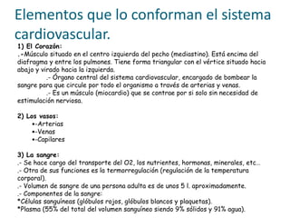 Elementos que lo conforman el sistema
cardiovascular.
1) El Corazón:
.-Músculo situado en el centro izquierda del pecho (mediastino). Está encima del
diafragma y entre los pulmones. Tiene forma triangular con el vértice situado hacia
abajo y virado hacia la izquierda.
.- Órgano central del sistema cardiovascular, encargado de bombear la
sangre para que circule por todo el organismo a través de arterias y venas.
.- Es un músculo (miocardio) que se contrae por si solo sin necesidad de
estimulación nerviosa.
2) Los vasos:
-Arterias
-Venas
-Capilares
3) La sangre:
.- Se hace cargo del transporte del O2, los nutrientes, hormonas, minerales, etc…
.- Otra de sus funciones es la termorregulación (regulación de la temperatura
corporal).
.- Volumen de sangre de una persona adulta es de unos 5 l. aproximadamente.
.- Componentes de la sangre:
*Células sanguíneas (glóbulos rojos, glóbulos blancos y plaquetas).
*Plasma (55% del total del volumen sanguíneo siendo 9% sólidos y 91% agua).
 