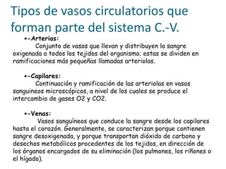 Tipos de vasos circulatorios que
forman parte del sistema C.-V.
-Arterias:
Conjunto de vasos que llevan y distribuyen la sangre
oxigenada a todos los tejidos del organismo; estas se dividen en
ramificaciones más pequeñas llamadas arteriolas.
-Capilares:
Continuación y ramificación de las arteriolas en vasos
sanguineos microscópicos, a nivel de los cuales se produce el
intercambio de gases O2 y CO2.
-Venas:
Vasos sanguíneos que conduce la sangre desde los capilares
hasta el corazón. Generalmente, se caracterizan porque contienen
sangre desoxigenada, y porque transportan dióxido de carbono y
desechos metabólicos procedentes de los tejidos, en dirección de
los órganos encargados de su eliminación (los pulmones, los riñones o
el hígado).
 
