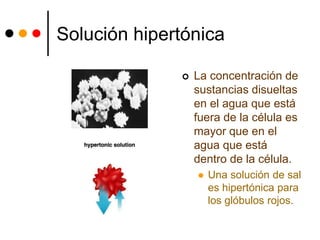 Solución hipertónica
 La concentración de
sustancias disueltas
en el agua que está
fuera de la célula es
mayor que en el
agua que está
dentro de la célula.
 Una solución de sal
es hipertónica para
los glóbulos rojos.
 