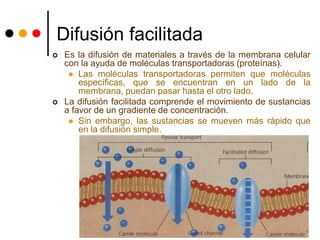 Difusión facilitada
 Es la difusión de materiales a través de la membrana celular
con la ayuda de moléculas transportadoras (proteínas).
 Las moléculas transportadoras permiten que moléculas
específicas, que se encuentran en un lado de la
membrana, puedan pasar hasta el otro lado.
 La difusión facilitada comprende el movimiento de sustancias
a favor de un gradiente de concentración.
 Sin embargo, las sustancias se mueven más rápido que
en la difusión simple.
 