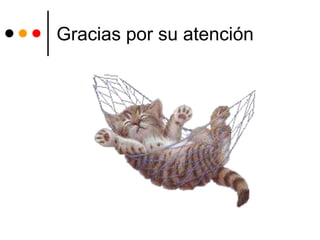 Gracias por su atención
 