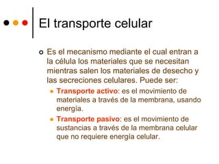 El transporte celular
 Es el mecanismo mediante el cual entran a
la célula los materiales que se necesitan
mientras salen los materiales de desecho y
las secreciones celulares. Puede ser:
 Transporte activo: es el movimiento de
materiales a través de la membrana, usando
energía.
 Transporte pasivo: es el movimiento de
sustancias a través de la membrana celular
que no requiere energía celular.
 