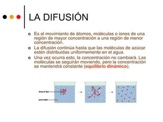 LA DIFUSIÓN
 Es el movimiento de átomos, moléculas o iones de una
región de mayor concentración a una región de menor
concentración.
 La difusión continúa hasta que las moléculas de azúcar
estén distribuidas uniformemente en el agua.
 Una vez ocurra esto, la concentración no cambiará. Las
moléculas se seguirán moviendo, pero la concentración
se mantendrá constante (equilibrio dinámico).
 