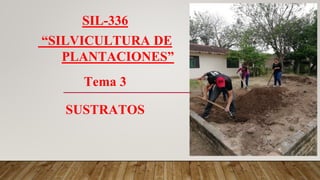SIL-336
“SILVICULTURA DE
PLANTACIONES”
Tema 3
SUSTRATOS
 