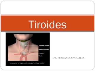 DR. FERNANDO NOGALES
Tiroides
 