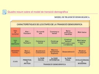 Quadre resum sobre el model de transició demogràfica 