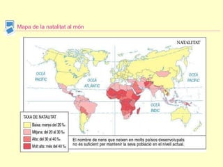 Mapa de la natalitat al món 