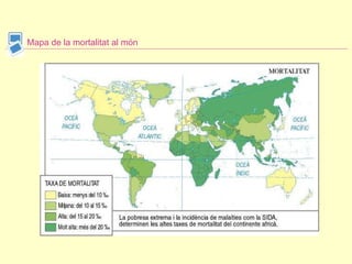 Mapa de la mortalitat al món 