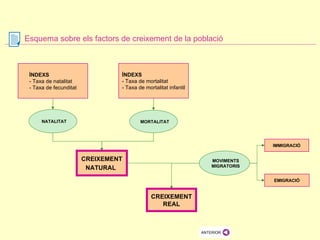 Esquema sobre els factors de creixement de la població ÍNDEXS - Taxa de natalitat - Taxa de fecunditat ÍNDEXS  - Taxa de mortalitat  - Taxa de mortalitat infantil NATALITAT MORTALITAT  CREIXEMENT NATURAL   CREIXEMENT REAL MOVIMENTS MIGRATORIS IMMIGRACIÓ EMIGRACIÓ 
