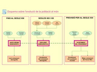 Esquema sobre l’evolució de la població al món PREVISIÓ PER AL SEGLE XXI SEGLES XIX I XX   FINS AL SEGLE XIX   Mortalitat elevada Natalitat elevada ANTIC RÈGIM DEMOGRÀFIC Lent creixement  demogràfic Natalitat elevada Descens de la mortalitat EXPLOSIÓ DEMOGRÀFICA Acceleració del creixement demogràfic Millores agràries Avenços sanitaris Més higiene Baixa mortalitat Descens de la natalitat ALENTIMENT DEL CREIXEMENT Envelliment de la població mundial Major creixement del Tercer Món 