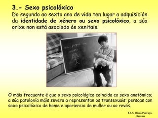 3.- Sexo psicolóxico
 Do segundo ao sexto ano de vida ten lugar a adquisición
 da identidade de xénero ou sexo psicolóxico, a súa
 orixe non está asociado ós xenitais.




O máis frecuente é que o sexo psicológico coincida co sexo anatómico;
a súa patoloxía máis severa a representan os transexuais: persoas con
sexo psicolóxico de home e apariencia de muller ou ao revés.
                                                         I.E.S. Otero Pedrayo.
                                                                Ourense
 