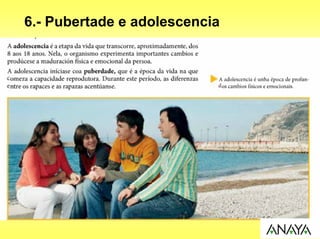 6.- Pubertade e adolescencia
 