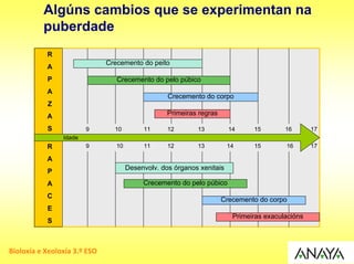 Algúns cambios que se experimentan na
          puberdade
           R
                              Crecemento do peito
           A
           P                     Crecemento do pelo púbico
           A
                                                   Crecemento do corpo
           Z
           A                                       Primeiras regras

           S            9       10         11      12       13          14     15        16       17
                Idade
           R            9        10        11      12       13          14     15        16       17

           A
                                      Desenvolv. dos órganos xenitais
           P
           A                               Crecemento do pelo púbico
           C
                                                                      Crecemento do corpo
           E
                                                                         Primeiras exaculacións
           S



Bioloxía e Xeoloxía 3.º ESO
 