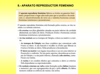 8.- APARATO REPRODUCTOR FEMENINO
 