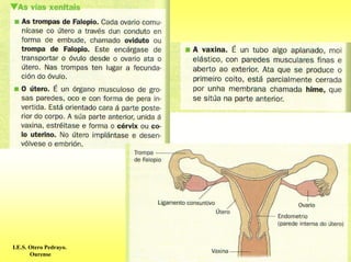 I.E.S. Otero Pedrayo.
       Ourense
 