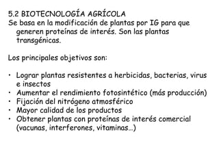 5.2 BIOTECNOLOGÍA AGRÍCOLA Se basa en la modificación de plantas por IG para que generen proteínas de interés. Son las plantas transgénicas. Los principales objetivos son: Lograr plantas resistentes a herbicidas, bacterias, virus e insectos Aumentar el rendimiento fotosintético (más producción) Fijación del nitrógeno atmosférico Mayor calidad de los productos Obtener plantas con proteínas de interés comercial (vacunas, interferones, vitaminas…) 