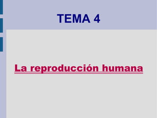 TEMA 4 La reproducción humana 