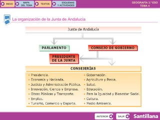 La organización de la Junta de Andalucía 