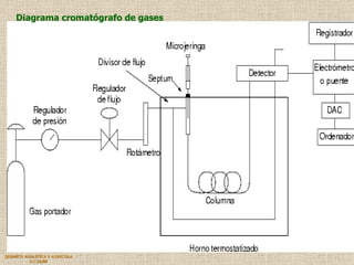 QUIMICA ANALITICA Y AGRICOLA G.C.M./06 Diagrama cromatógrafo de gases 