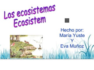 Hecho por: María Yuste Y Eva Muñoz Los ecosistemas Ecosistem 