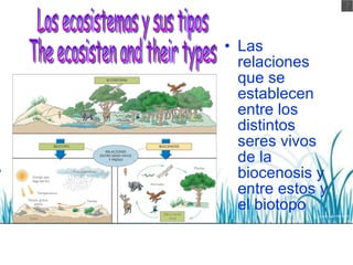 <ul><li>Las relaciones que se establecen entre los distintos seres vivos de la biocenosis y entre estos y el biotopo </li>...