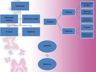 Investigación
            Exámenes                                              temática


                                                                  Resumen
                                                    Teóricos
                                                                 informativo

Exámenes
                   Exámenes orales                               Inventario
 escritos                                                       bibliográfico
                                         Trabajos


                                                                  Proyecto

 Ensayo                Objetivas                    Prácticos
                                                                Sesiones de
                                                                 laboratorio




                                     Deberes




                                     Ejercicios
 
