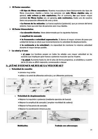  El Factor muscular:
            • El tipo de fibras musculares. Nuestra musculatura tiene básicamente dos tipos de
            fibras musculares: rápidas y lentas. Las personas con más fibras rápidas son, en
            general, más veloces y más explosivas. Por el contrario, las que tienen mayor
            cantidad de fibras lentas son, en general, más resistentes. Cada uno de nosotros
            tiene una proporción diferente de unas y otras.
            • La fuerza de los músculos. La fuerza explosiva (potencia), que ya conoces del tema
            anterior, hace que este tipo de personas sean muy rápidas.
   El Factor biomecánico:
            • La ejecución técnica. Viene determinada por los siguientes factores:
            ♣ amplitud de zancada
            ♣ la frecuencia o velocidad segmentaria. Si damos el mayor número de pasos por
            unidad de tiempo es obvio que incrementaremos la velocidad de desplazamiento.
            ♣ la resistencia a la velocidad o la capacidad de mantener la máxima velocidad
            durante el mayor tiempo posible.
  La edad y el sexo.
             • el sexo: Los hombres poseen en todas las edades una mayor velocidad en las
             acciones que impliquen gran fuerza o potencia muscular que las mujeres.
             • la edad: Aumenta hasta los 20-21 años de forma progresiva, se estabiliza y a partir
             de los 25 años es difícil mejorarla, comenzando a decaer
5. ¿CÓMO PODEMOS MEJORAR LA VELOCIDAD?
    Velocidad de reacción:
          • carreras muy cortas
          • salidas a la señal de diferentes estímulos y en diferentes posiciones.




          Velocidad de desplazamiento:
          • Mejorar la impulsión o potencia (mediante ejercicios de fuerza):
          • Mejorar la amplitud de zancada ( ampliar movilidad de cadera):
          • Mejorar la frecuencia de zancada:
          • Mejorar la coordinación intramuscular.




          Multisaltos                                     Trabajo con sobrecargas

                                                                                               39
 