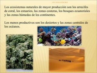 CIC JULIO SÁNCHEZ


Los ecosistemas naturales de mayor producción son los arrecifes
de coral, los estuarios, las zonas costeras, los bosques ecuatoriales
y las zonas húmedas de los continentes.

Los menos productivos son los desiertos y las zonas centrales de
los océanos.
 