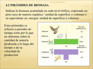 CIC JULIO SÁNCHEZ

 4.2 PIRÁMIDES DE BIOMASA
 Indican la biomasa acumulada en cada nivel trófico, expresada en:
 peso seco de materia orgánica / unidad de superficie o volumen o
 su equivalente en: energía/ unidad de superficie o volumen.

Estas pirámides se
refieren a periodos de
tiempo corto por lo que
no informan sobre la
cantidad de materia
producida a lo largo del
tiempo o de su
velocidad de
producción
 