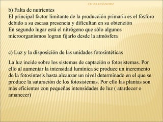 CIC JULIO SÁNCHEZ

b) Falta de nutrientes
El principal factor limitante de la producción primaria es el fósforo
debido a su escasa presencia y dificultan en su obtención
En segundo lugar está el nitrógeno que sólo algunos
microorganismos logran fijarlo desde la atmósfera


c) Luz y la disposición de las unidades fotosintéticas
La luz incide sobre los sistemas de captación o fotosistemas. Por
ello al aumentar la intensidad lumínica se produce un incremento
de la fotosíntesis hasta alcanzar un nivel determinado en el que se
produce la saturación de los fotosistemas. Por ello las plantas son
más eficientes con pequeñas intensidades de luz ( atardecer o
amanecer)
 